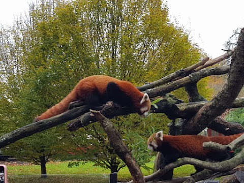 Longleat Guest Services