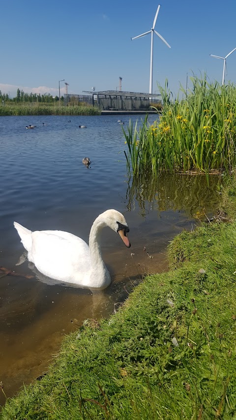 Father Collins Park