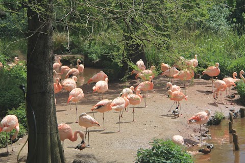 Paignton Zoo Environmental Park