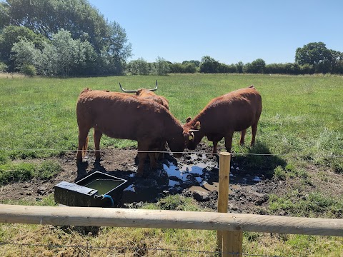 Piglets Adventure Farm