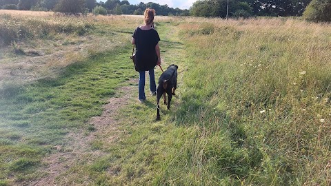 stnicolas-dogwalkers-nuneaton