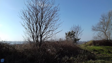 Broadmarsh Coastal Park