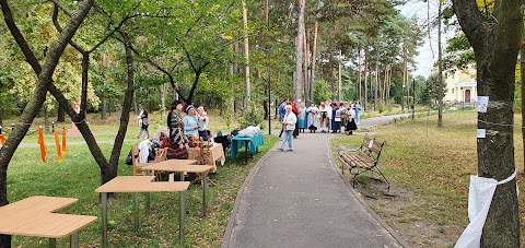 Соснівський міський парк