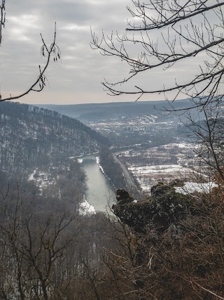 Кам'яна квітка скеля