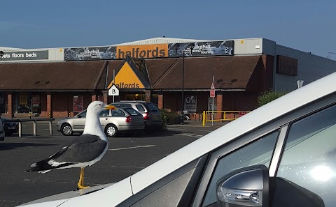 Halfords - Falkirk