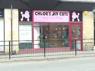 Chloe's K9 Cuts
