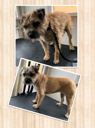 Millie's House Dog Grooming