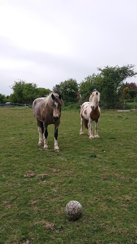 Hangleton Park Children's Centre