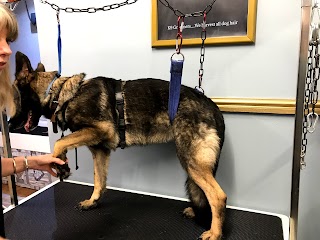 K9 Groomers