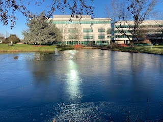 University of Hertfordshire - MacLaurin Building