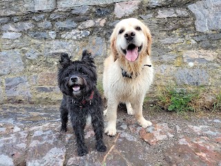 Muddy Paws Plymouth