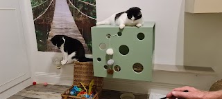 Catisfaction Cat Hotel