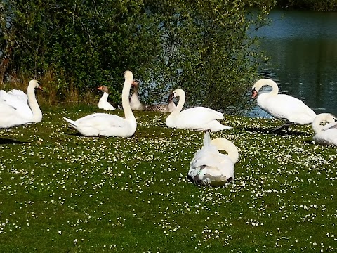 Watermead Country Park