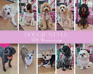 Doggie Style Pet Grooming