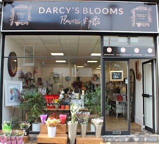 Darcy’s Blooms