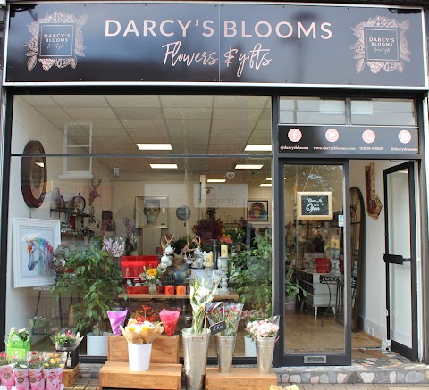 Darcy’s Blooms