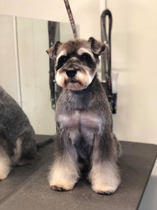 Scizzor Yappy Bespoke Dog Grooming Wigan