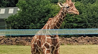 Whipsnade Wild Animal Park