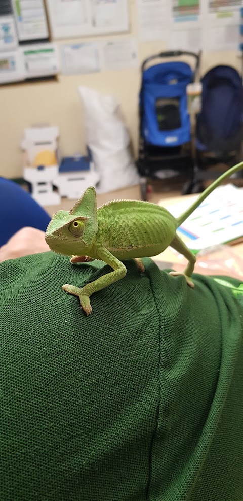 Pets at Home Newbury