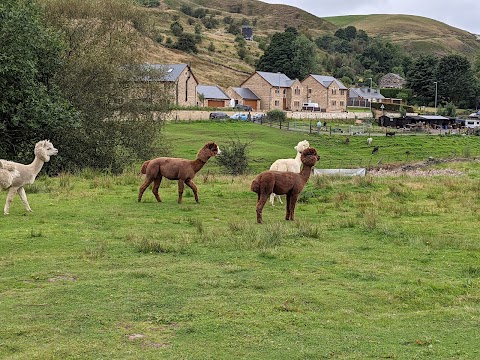 Calderbrook Alpacas