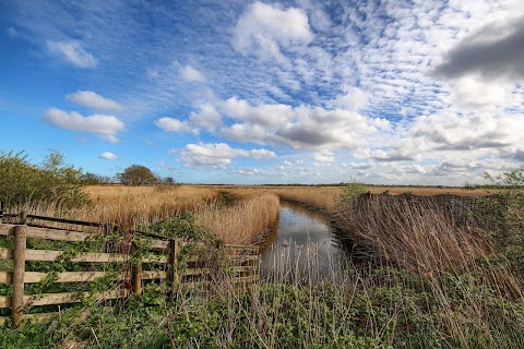 Norfolk Wildlife Trust