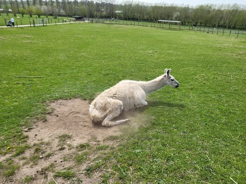 Manor Farm Park & Woodlands