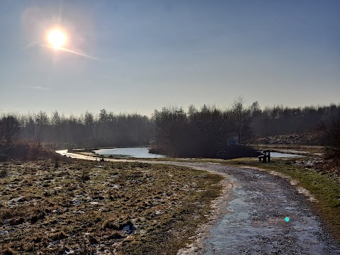 Wood Pool