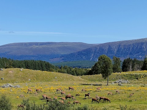 Highland Wildlife Park