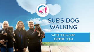 Sue's Dog Walking - Tamworth & Swadlingcote