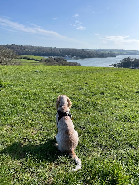 Churchtown Farm