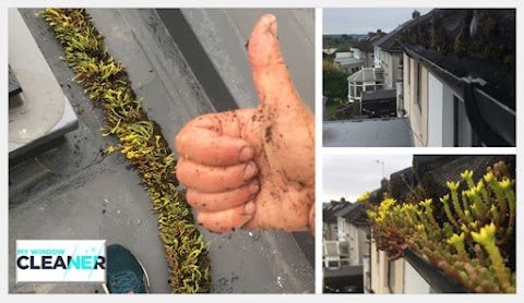 My Window Cleaner (Cardiff West)