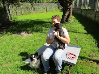 Deandane Boarding Kennels and Cattery