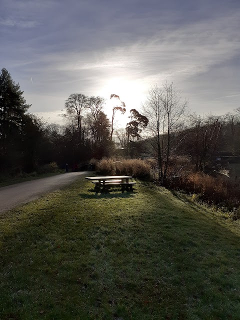 Lakeside Café