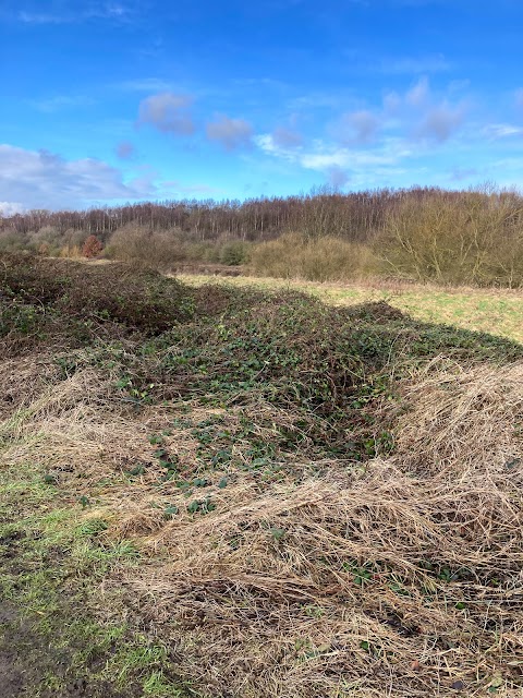 Rothwell Country Park