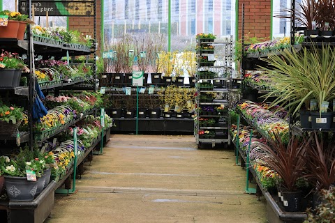 Homebase - Leicester