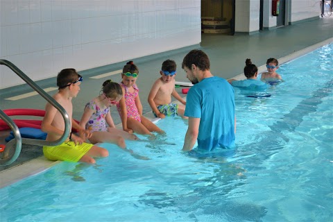 Evolution Swim School