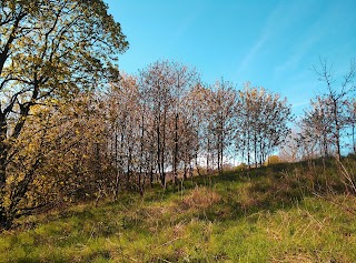 Gomersal Primary School