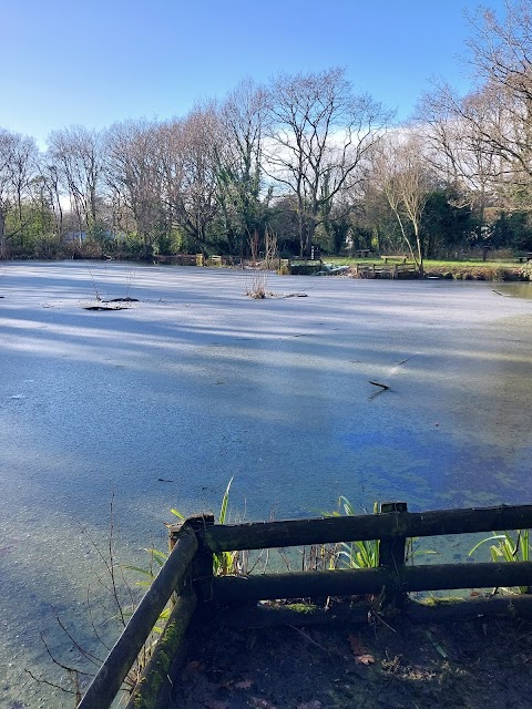 Dibbinsdale Nature Reserve