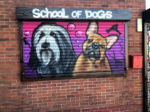 Cheshire School of Dogs