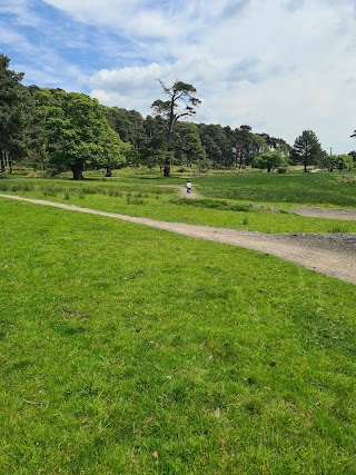 Margam Park Adventure