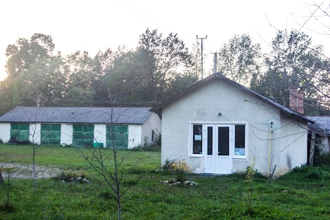 ДОЛИНСЬКА РАЙОННА ДЕРЖАВНА ЛІКАРНЯ ВЕТЕРИНАРНОЇ МЕДИЦИНИ