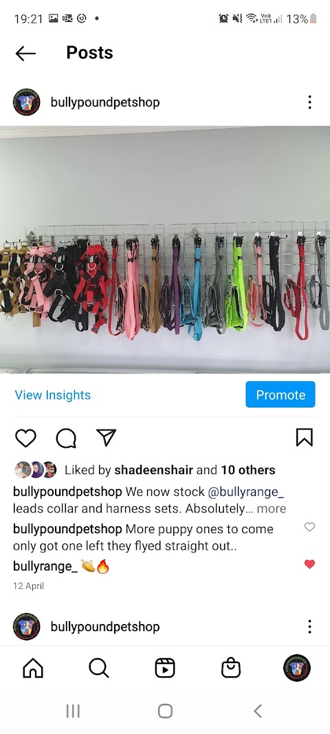 Bully Pound Pet shop