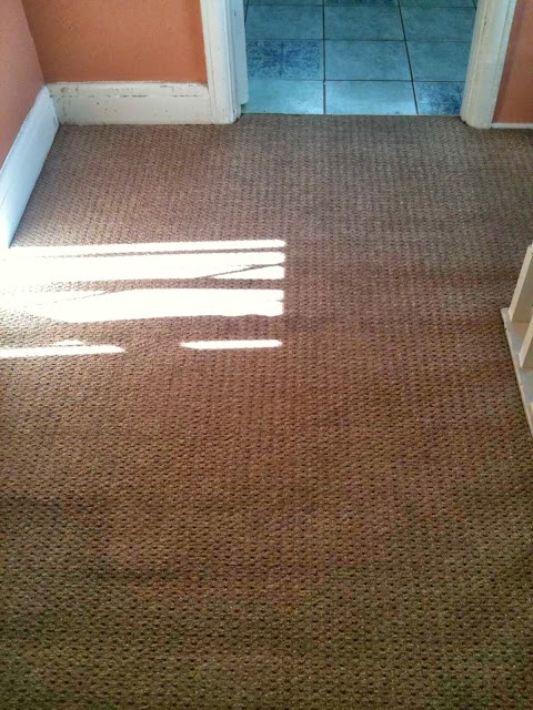 Cleaner Carpets