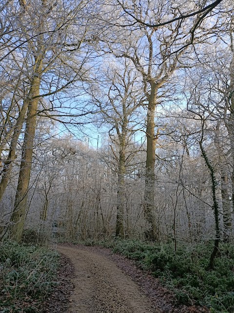 Birmingham Institute of Forest Research