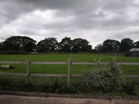 Hylton Hound Hotel Kennels