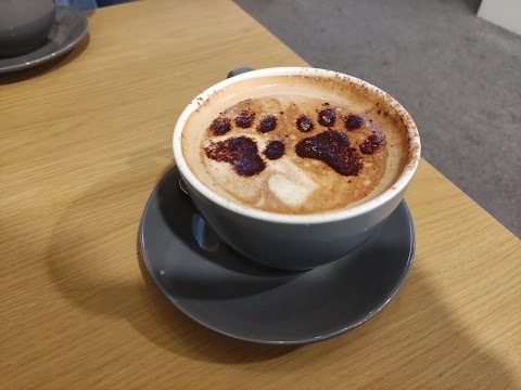 Cat Cafe Liverpool