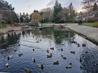 Harlow Town Park Water Garden