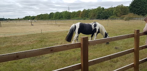 Redwings Horse Sanctuary