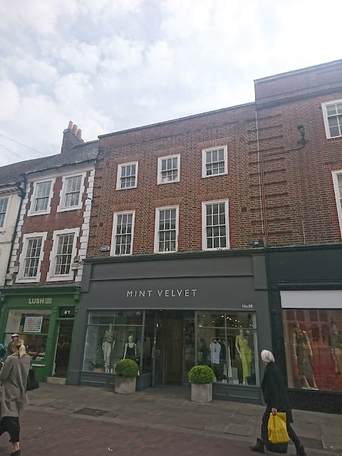 Mint Velvet Chichester