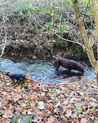 Hucknall Dog Walkers